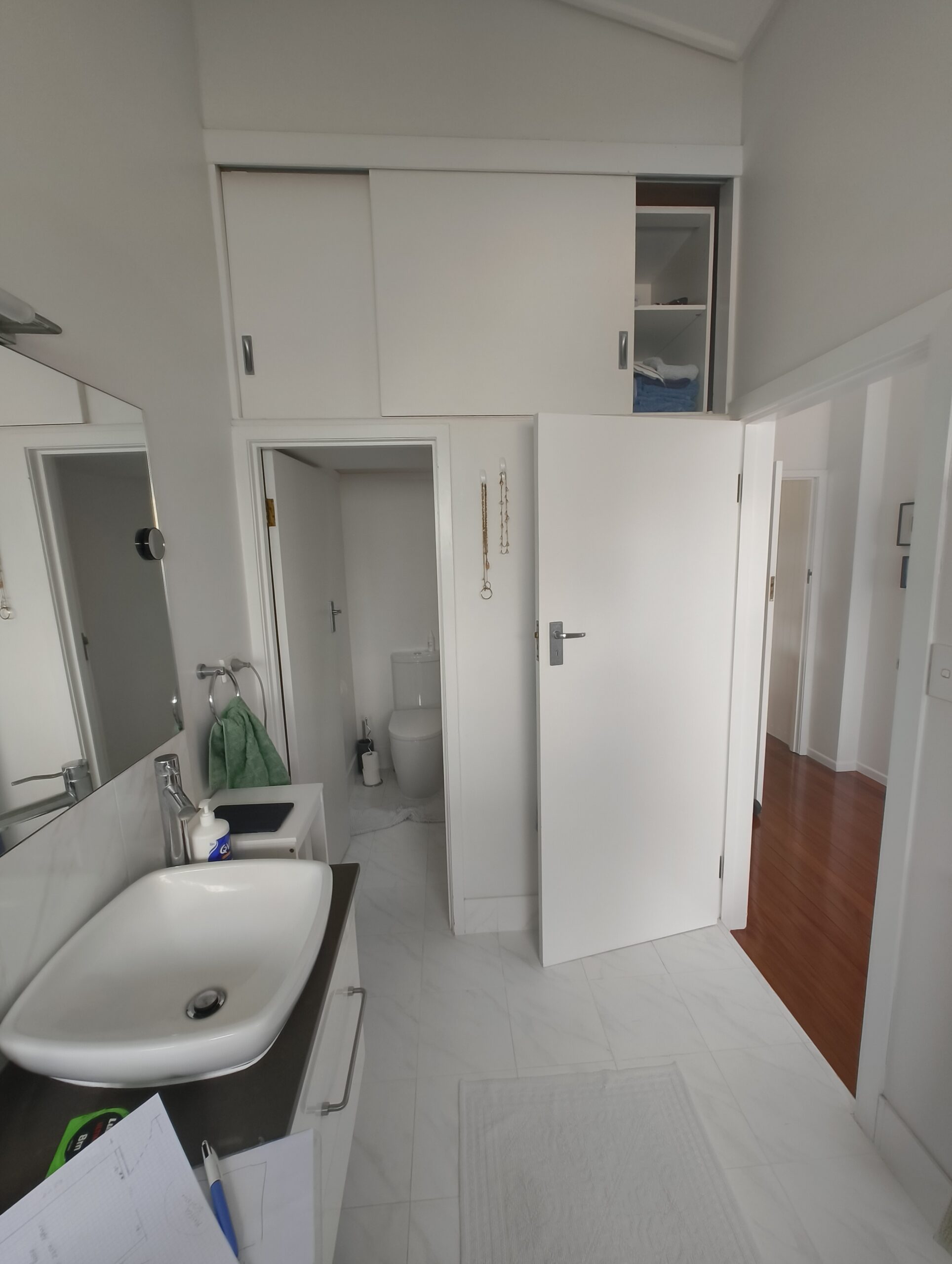 Coorparoo bathroom before renovation 1