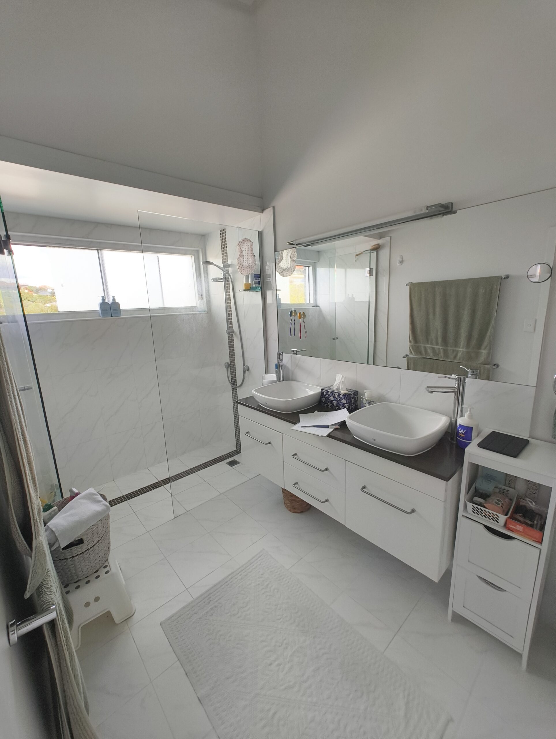 Coorparoo bathroom before renovation 5