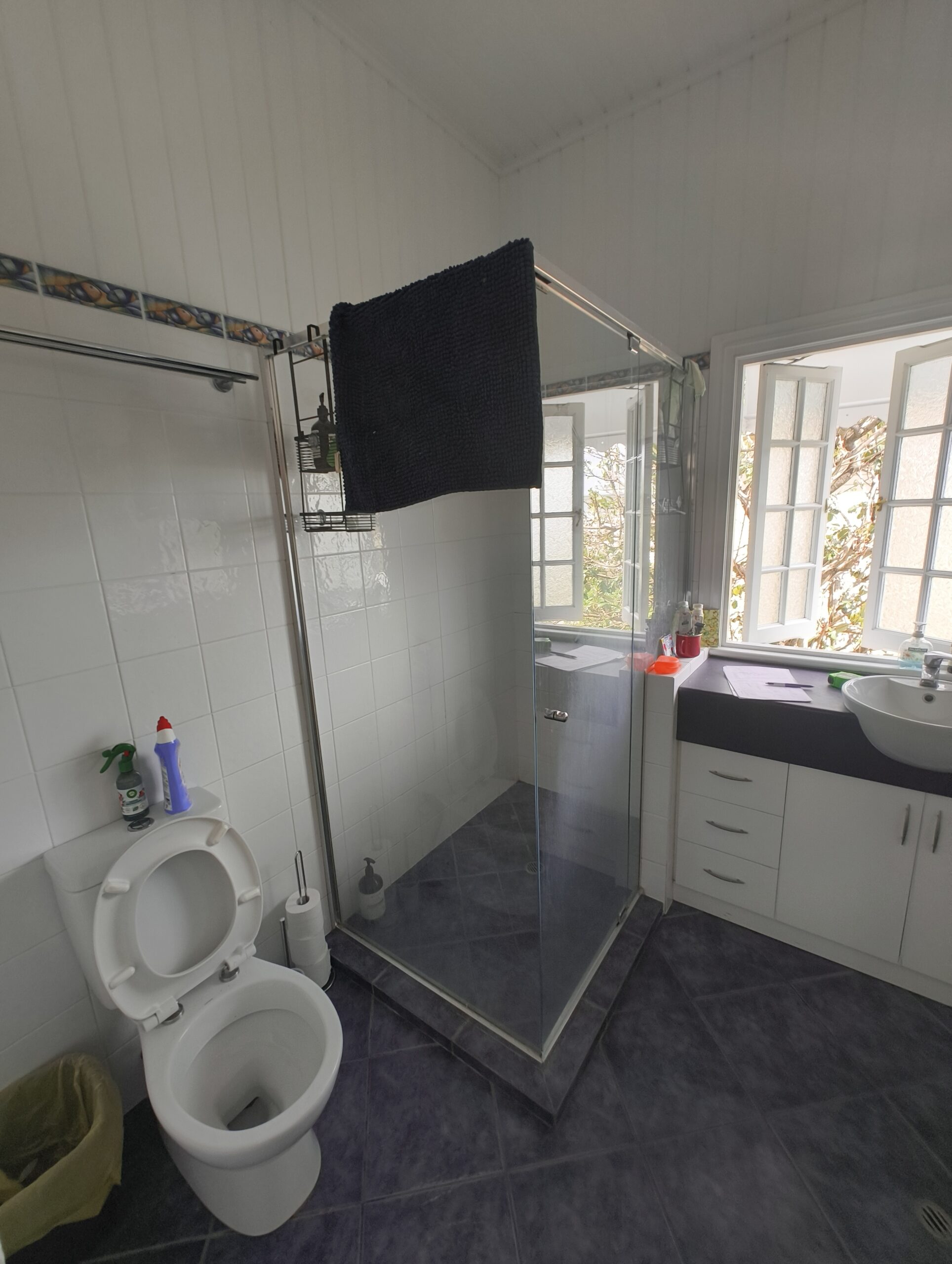 Annerley ensuite before renovation view 1