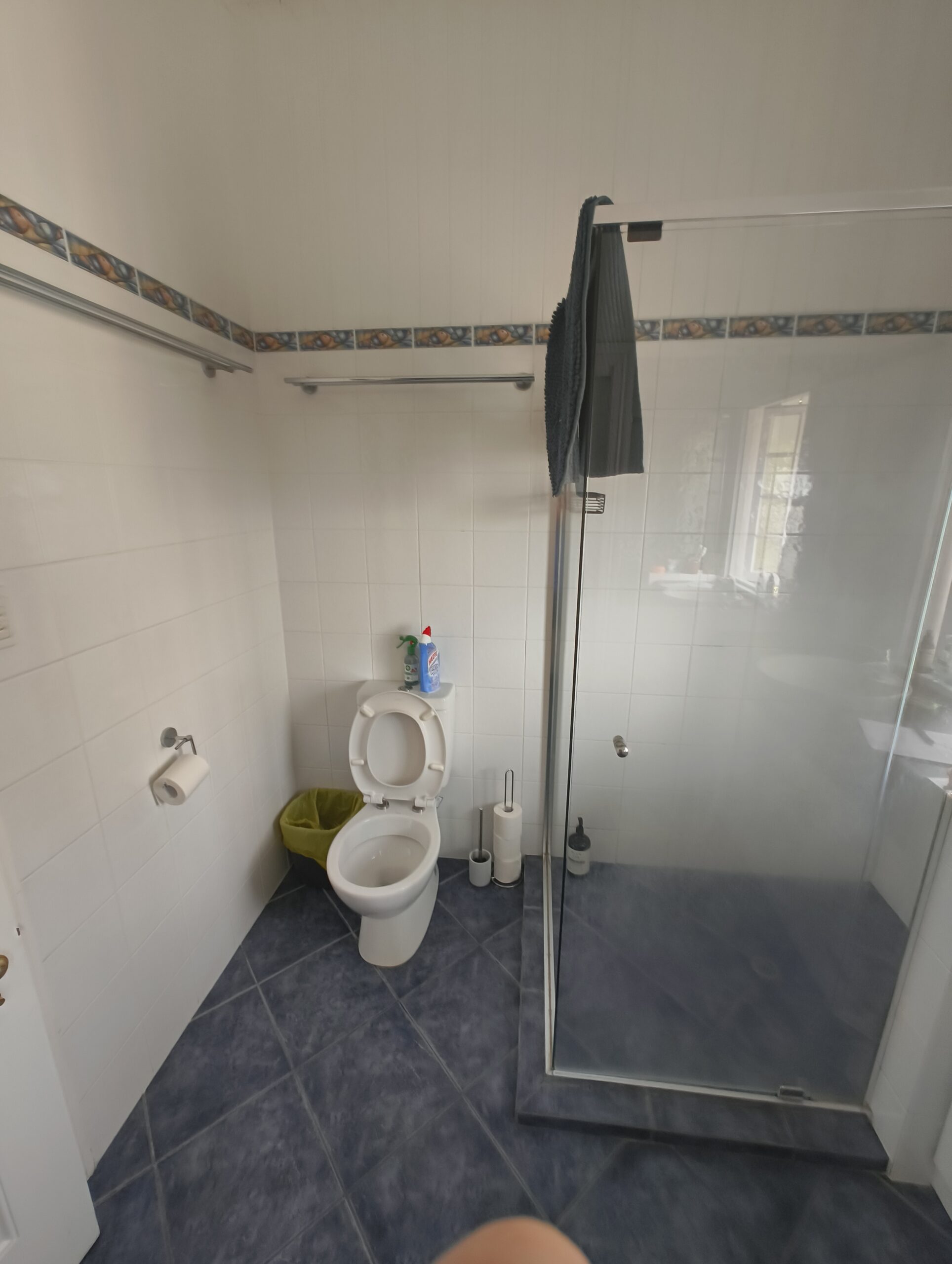 Annerley ensuite before renovation view 2