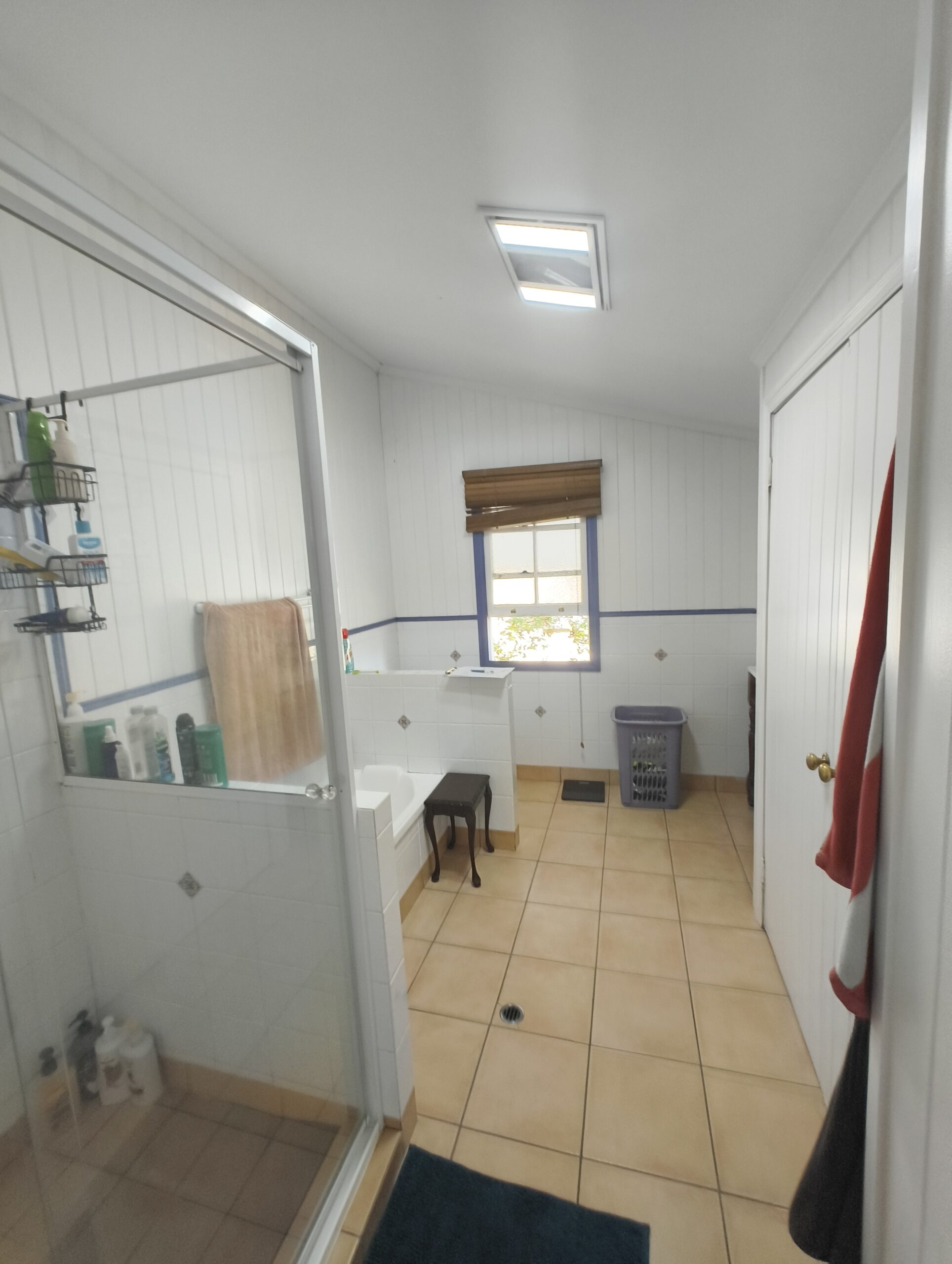 Annerley main bathroom before renovation view 1