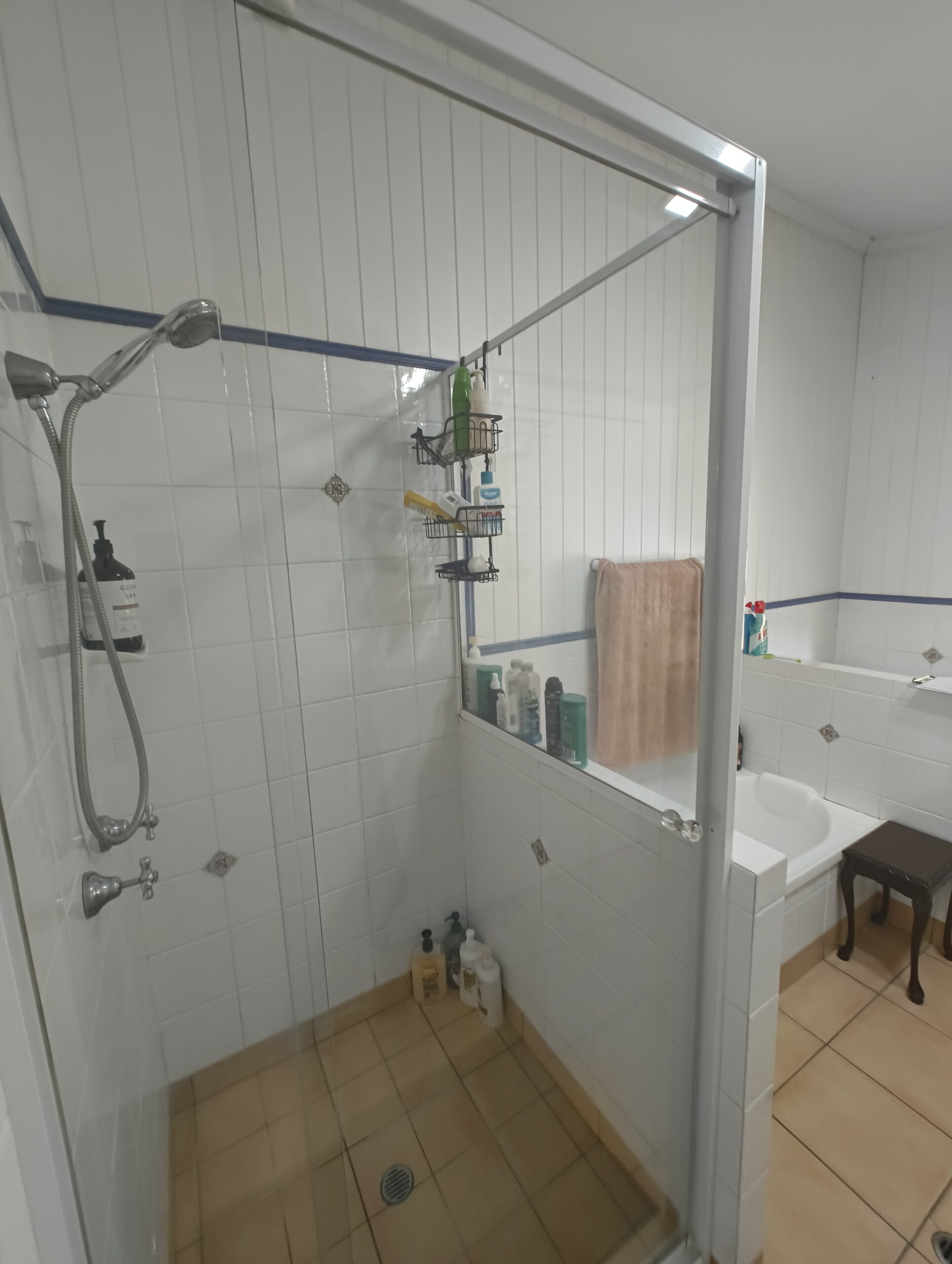 Annerley main bathroom before renovation view 2