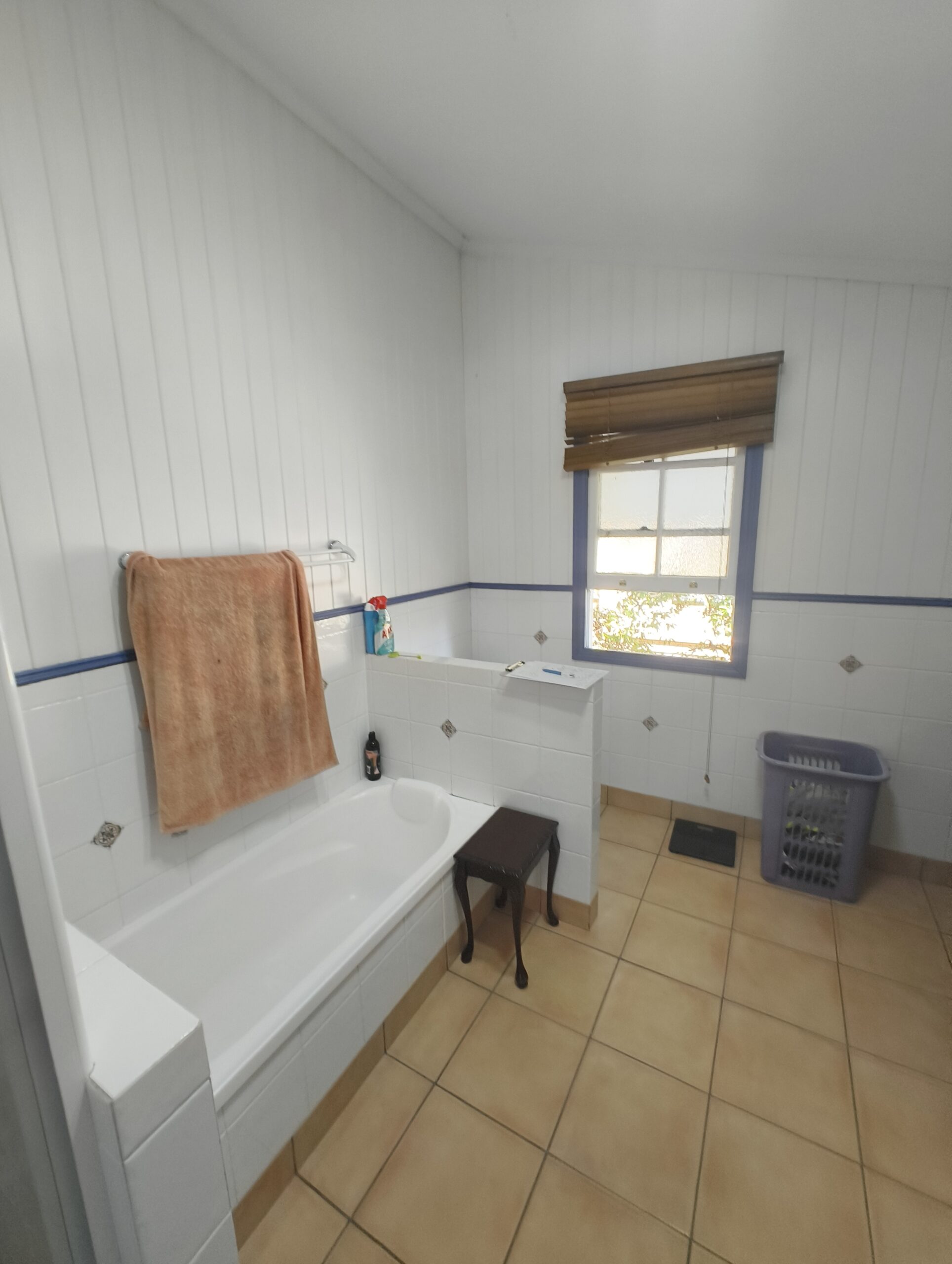 Annerley main bathroom before renovation view 3