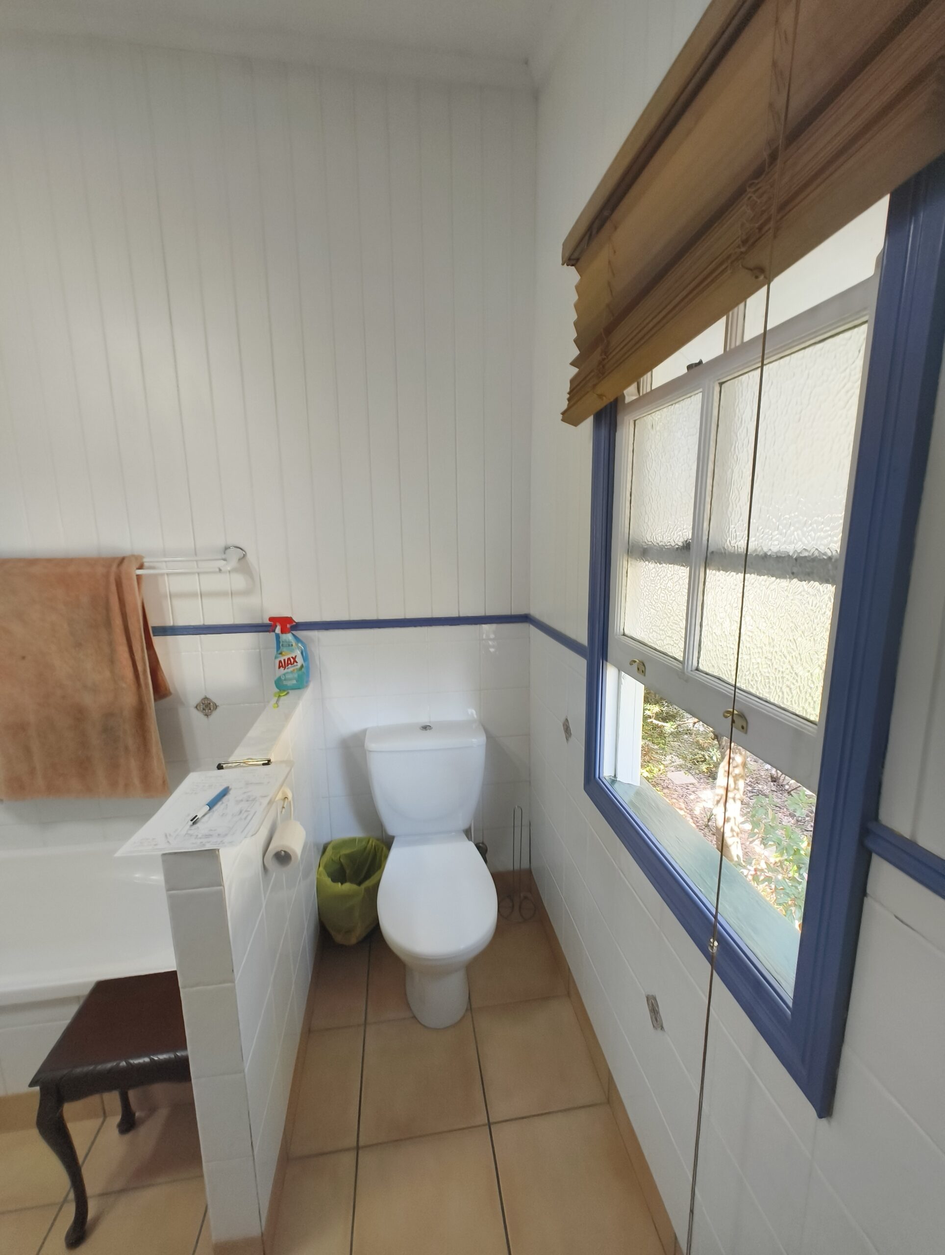 Annerley main bathroom before renovation view 4