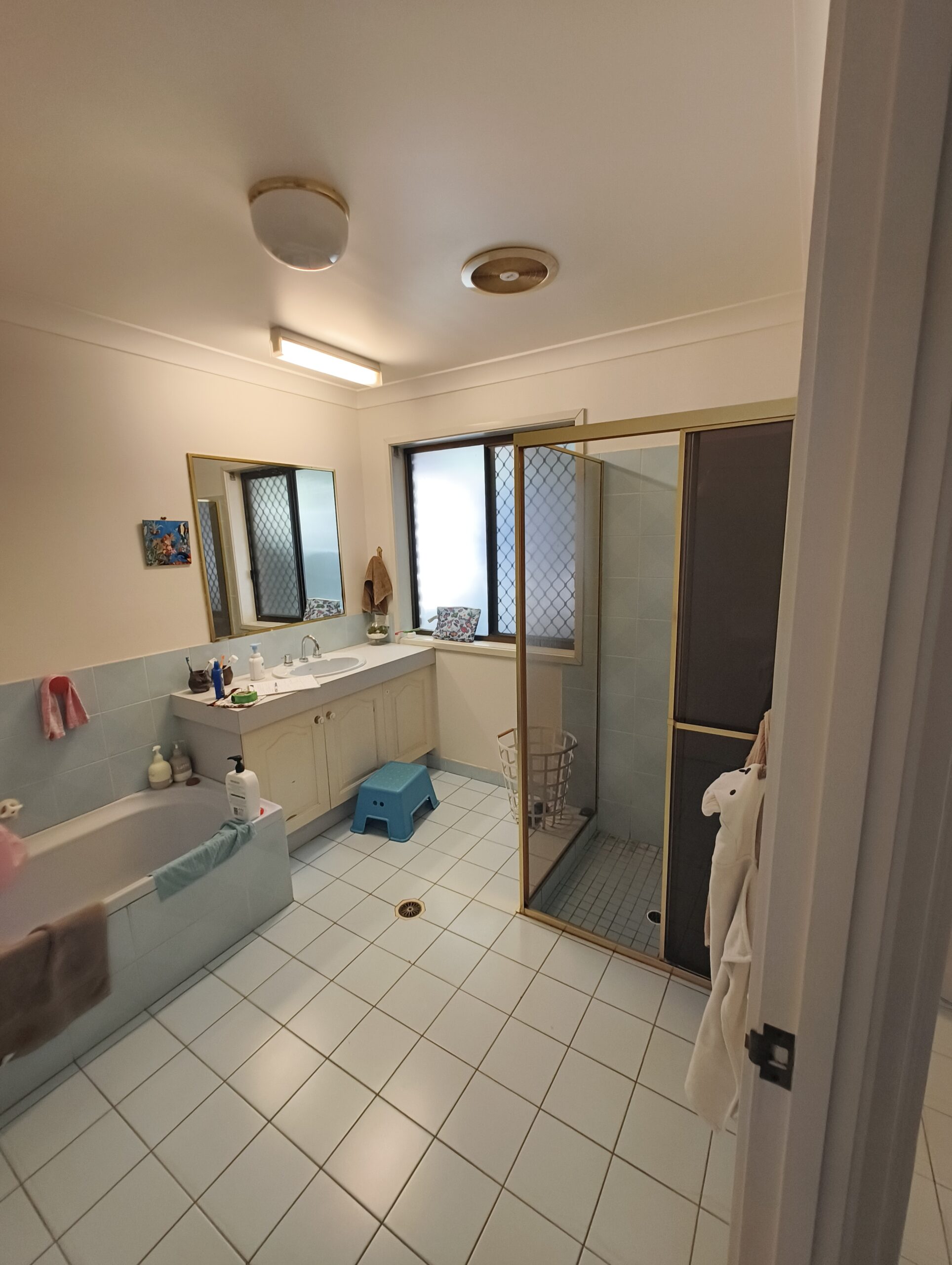 Eight Mile Plains bathroom before renovation showing the original vanity, bath and shower layout