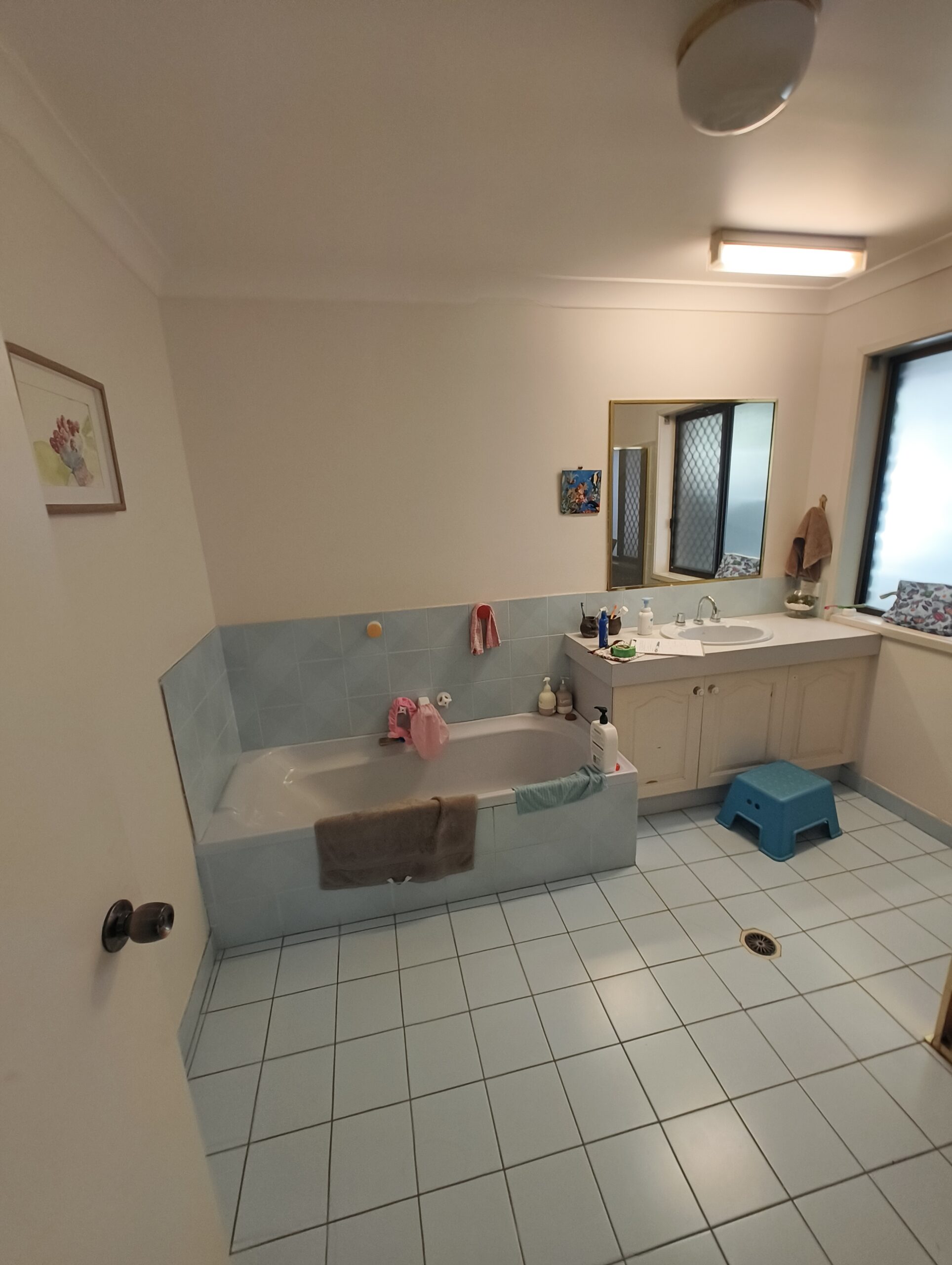 Eight Mile Plains bathroom before renovation with original bath and vanity