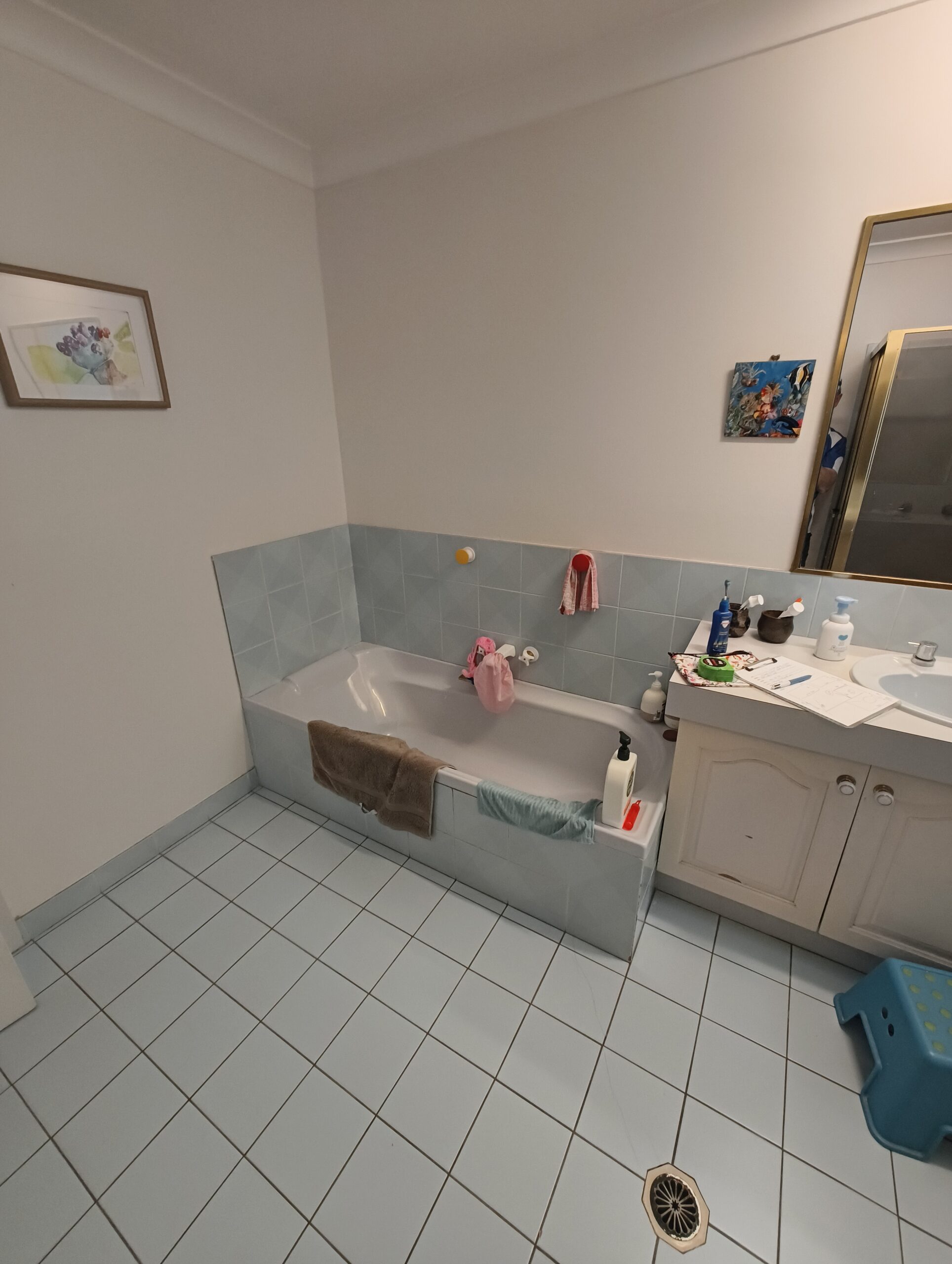 Eight Mile Plains bathroom before renovation showing dated wall tiles and shower screen