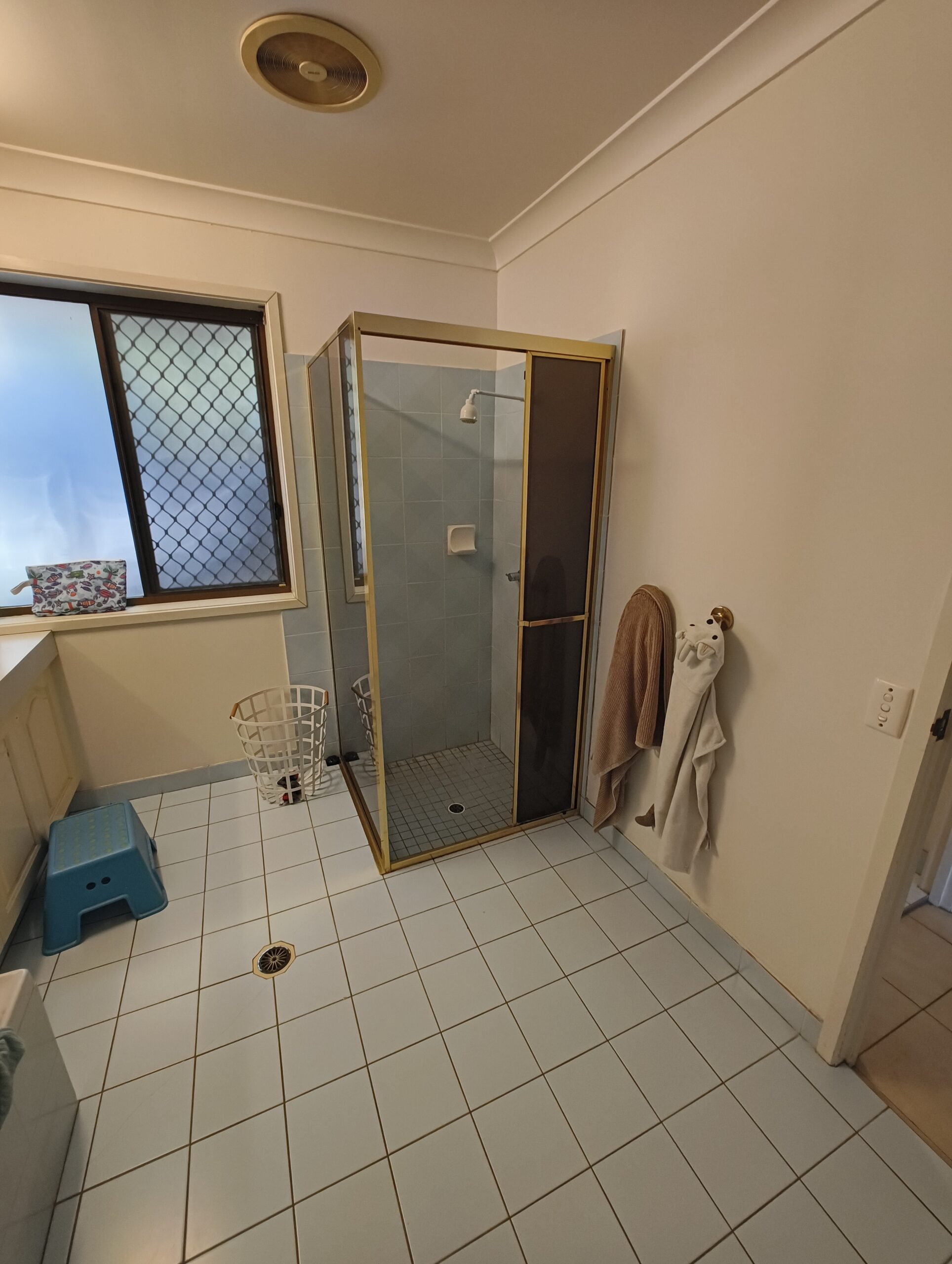 Eight Mile Plains bathroom before renovation showing existing shower and blue tiles