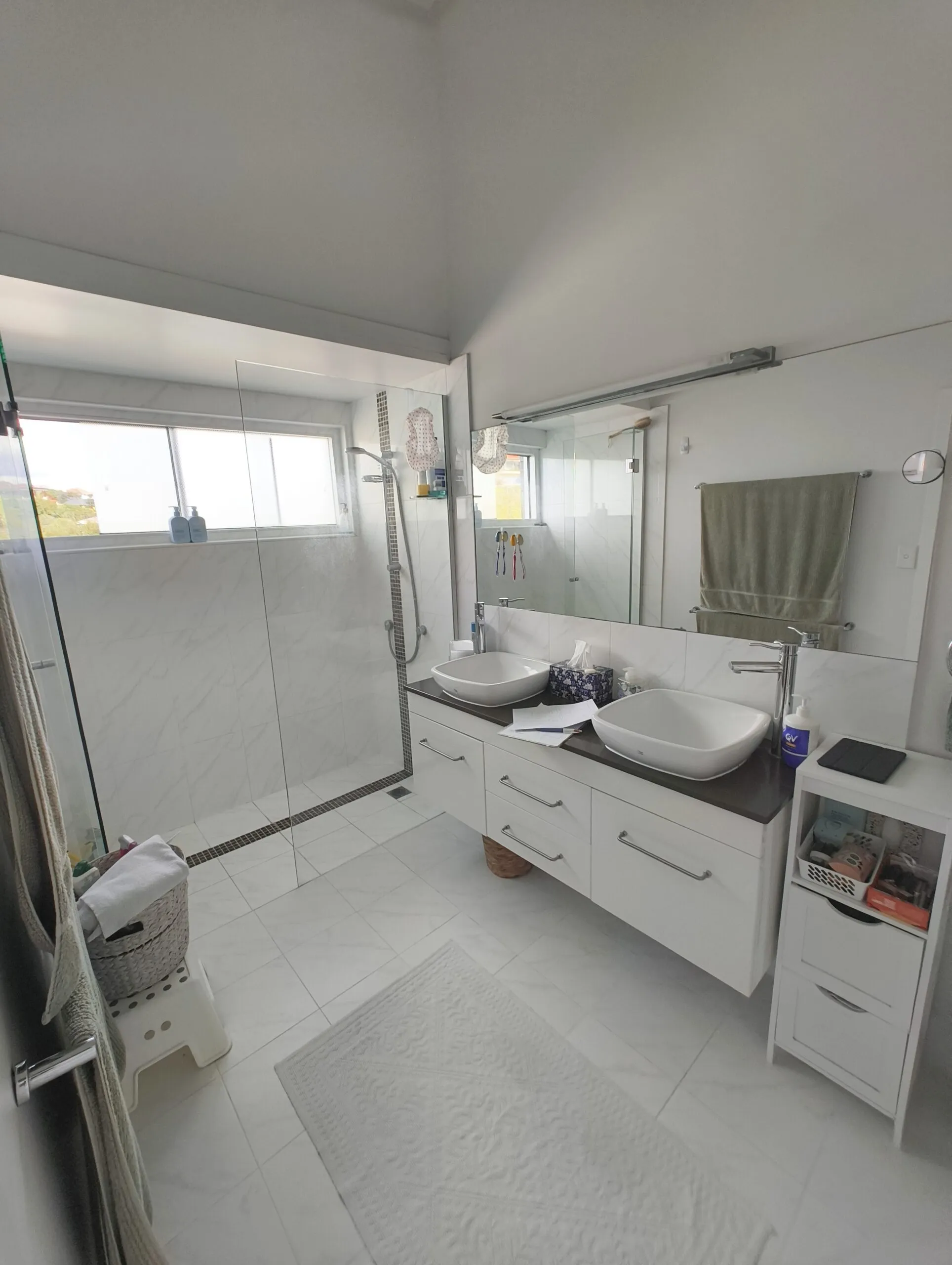 Coorparoo bathroom before renovation 5