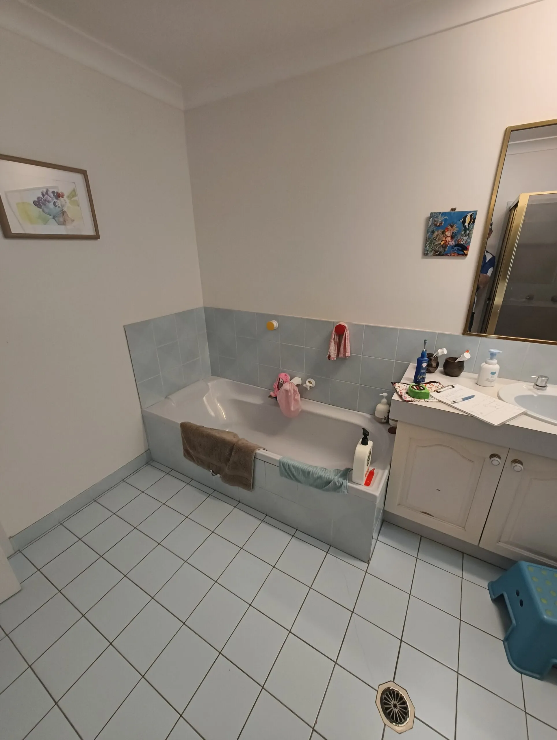 Eight Mile Plains bathroom before renovation showing dated wall tiles and shower screen